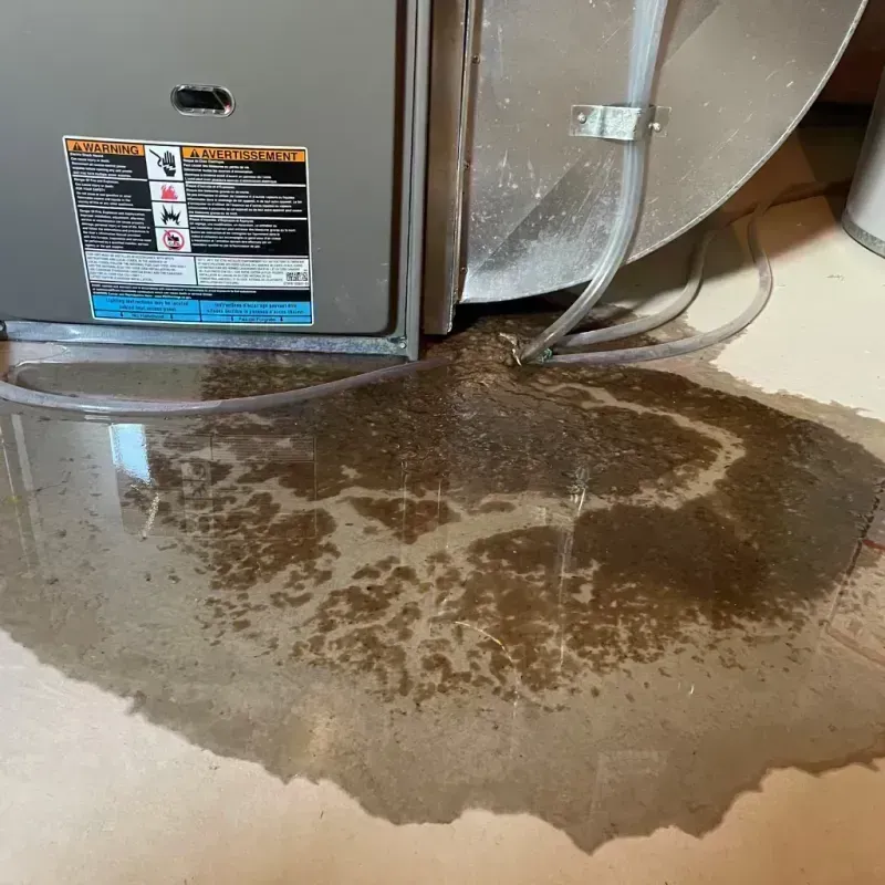 Appliance Leak Cleanup in Brookings, OR